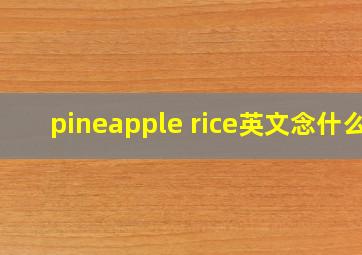 pineapple rice英文念什么